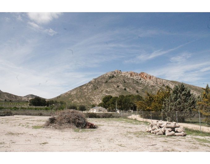 Image No.37-3 Bed Country House for sale