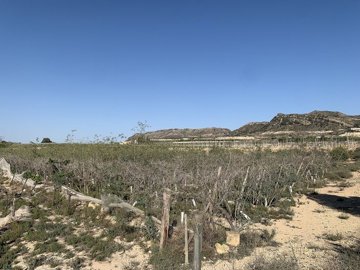 w73tfdpe5h7erxvrdrzfm