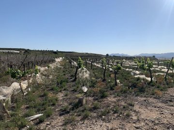 wegap3r7juqz3e4356kvg