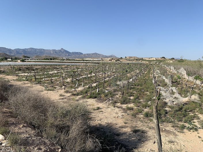 Image No.11-Land for sale