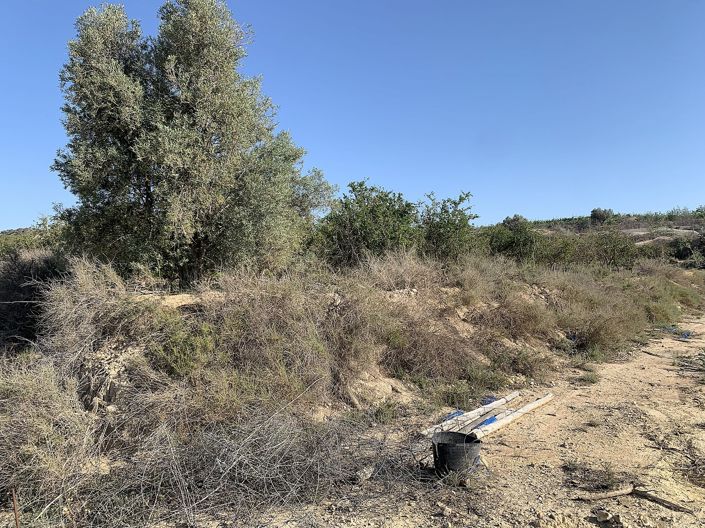 Image No.12-Land for sale