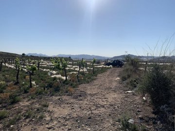 w35ys8be8sozbutqg62hp