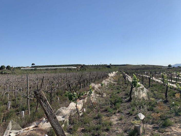 Image No.15-Land for sale