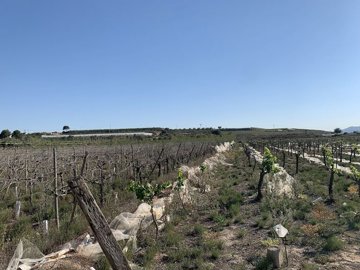 wgaexts5x0ofbingvydhj