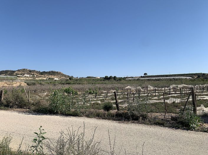 Image No.6-Land for sale