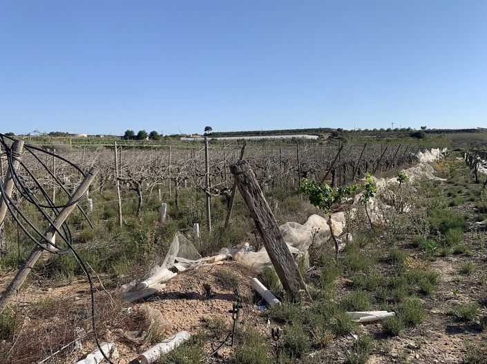 Image No.9-Land for sale