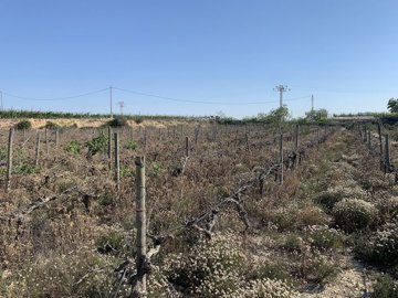 wmw5pjfxtmzsnkbibwf6f