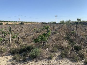 w8wtivtnjda5mahjtvy2p