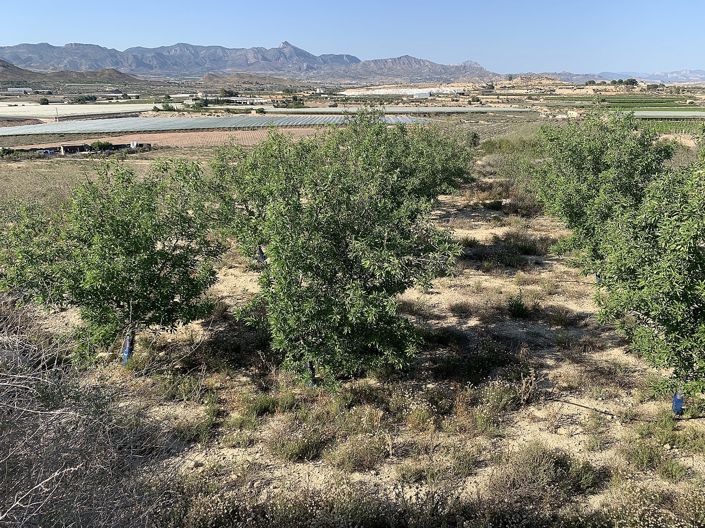 Image No.14-Land for sale