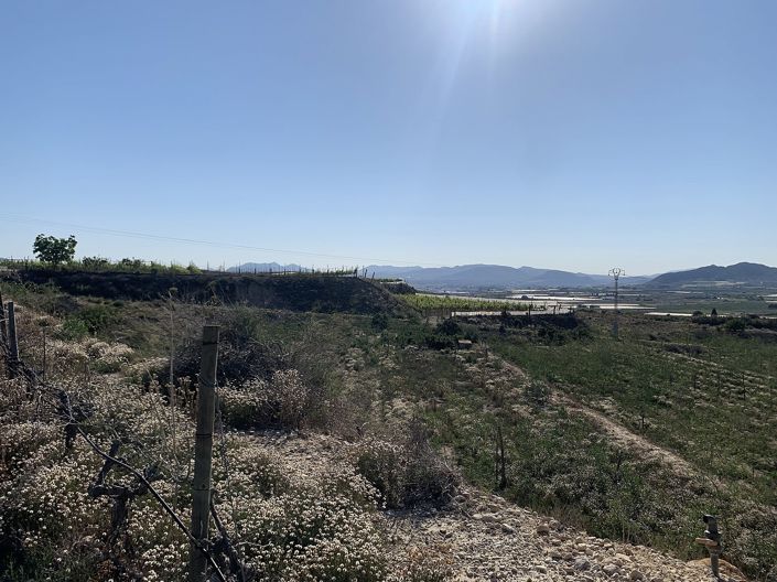 Image No.17-Land for sale