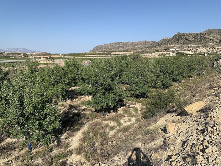 Image No.2-Land for sale