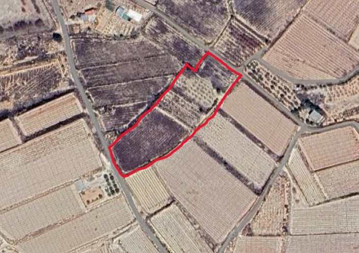 Image No.3-Terre à vendre à Monforte del Cid