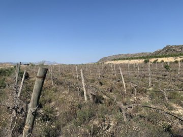 wfc4hrzp57y7q4hgdfjo8