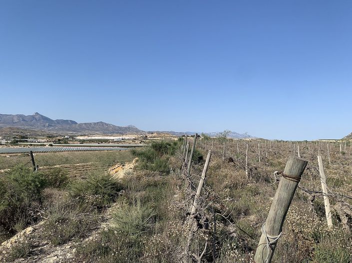 Image No.8-Land for sale