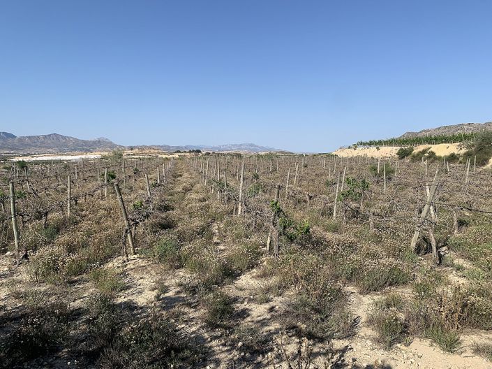 Image No.9-Land for sale