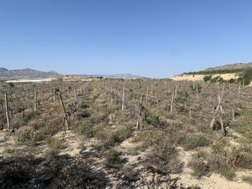 w7unijkc83vee8bn2wzg0