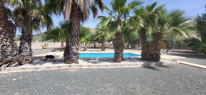 Image No.4-4 Bed Villa for sale