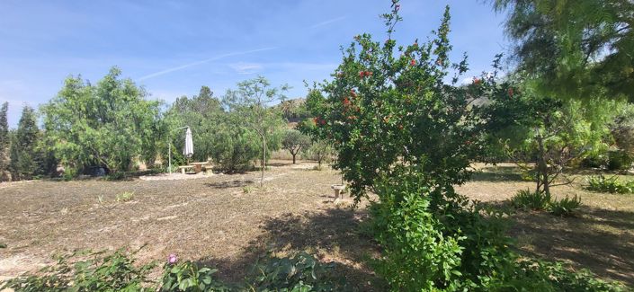 Image No.40-4 Bed Villa for sale