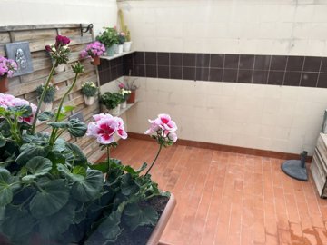 wbit7hx0efhz35e8dom8f