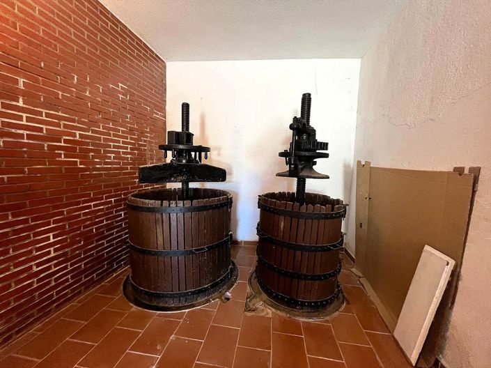 Image No.13-Maison de campagne de 12 chambres à vendre à Castalla