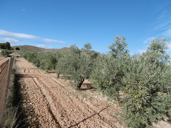 Image No.14-Maison de campagne de 2 chambres à vendre à Yecla