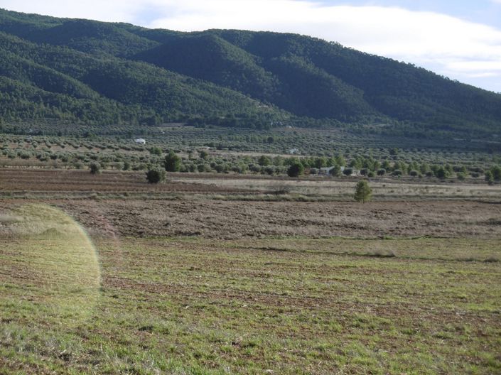 Image No.18-Maison de campagne de 2 chambres à vendre à Yecla