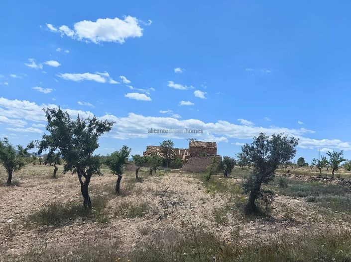 Image No.5-Property for sale