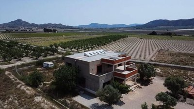 wh0nk8ts2n7ynub8ejba6