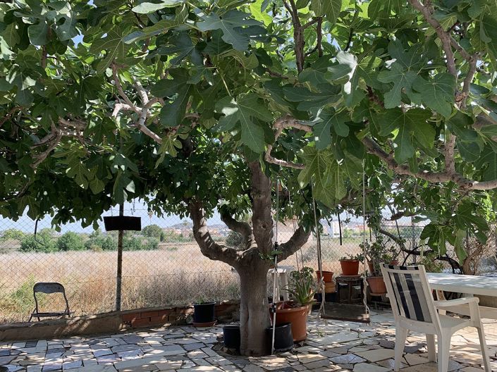 Image No.26-3 Bed Country House for sale