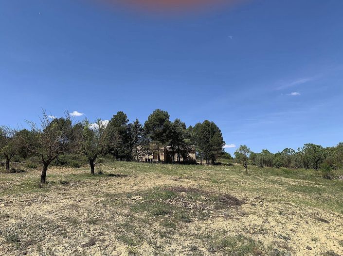 Image No.25-4 Bed Finca for sale