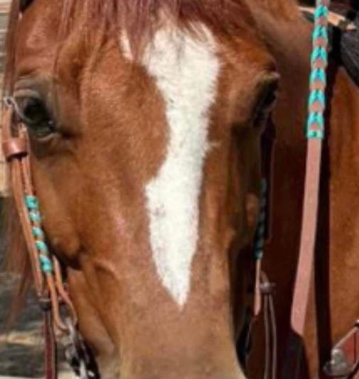 Image No.30-4 Bed Finca for sale