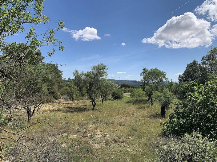 Image No.31-4 Bed Finca for sale