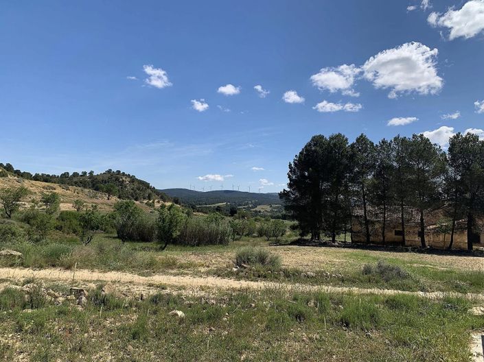 Image No.32-4 Bed Finca for sale