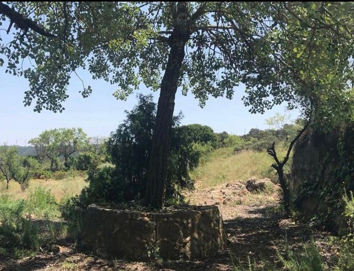 Image No.33-4 Bed Finca for sale