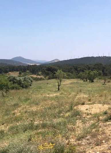 Image No.35-4 Bed Finca for sale