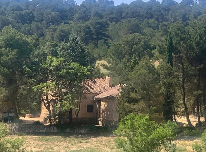 Image No.4-4 Bed Finca for sale