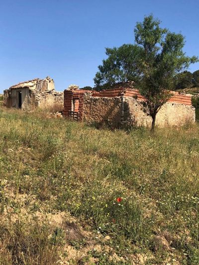 Image No.40-4 Bed Finca for sale