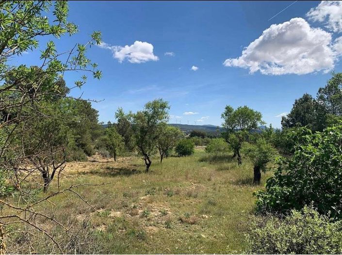 Image No.43-4 Bed Finca for sale