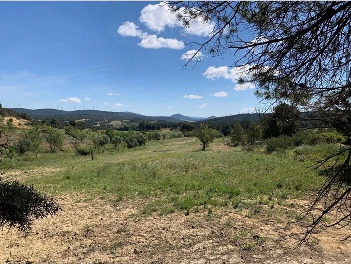 Image No.44-4 Bed Finca for sale