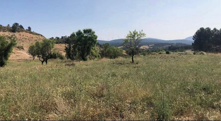 Image No.45-4 Bed Finca for sale