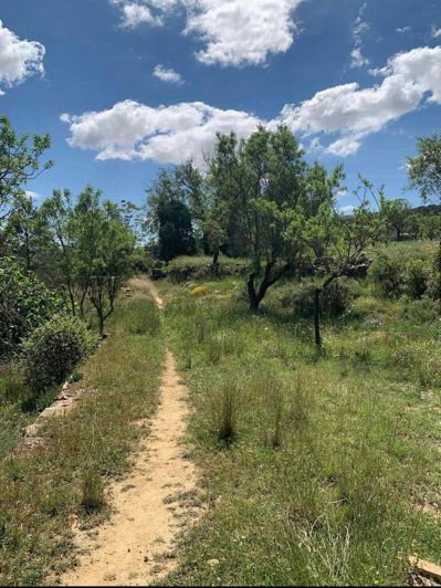 Image No.47-4 Bed Finca for sale