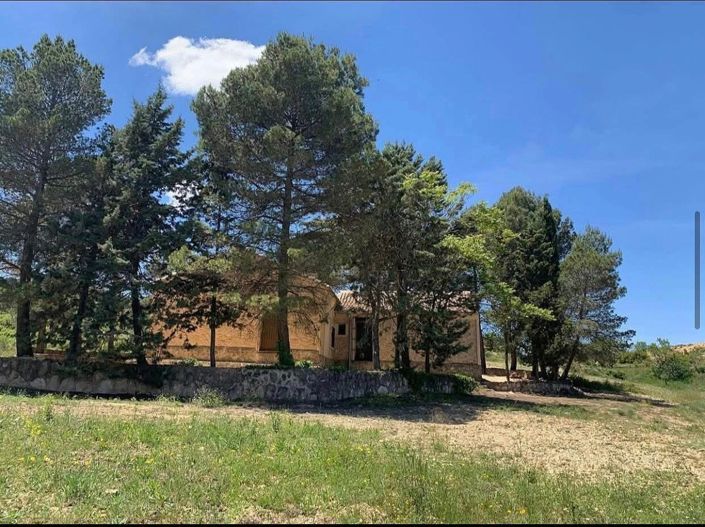 Image No.48-4 Bed Finca for sale