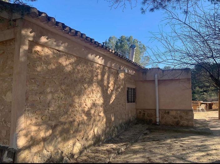 Image No.54-4 Bed Finca for sale