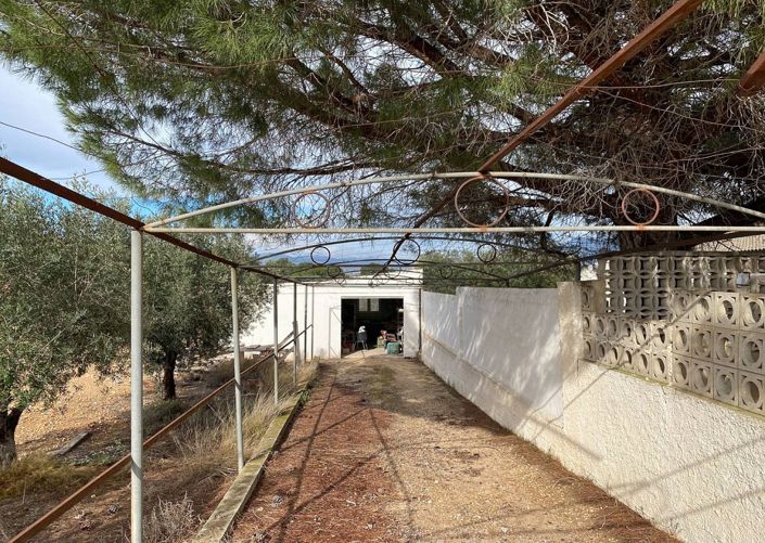 Image No.15-2 Bed Finca for sale