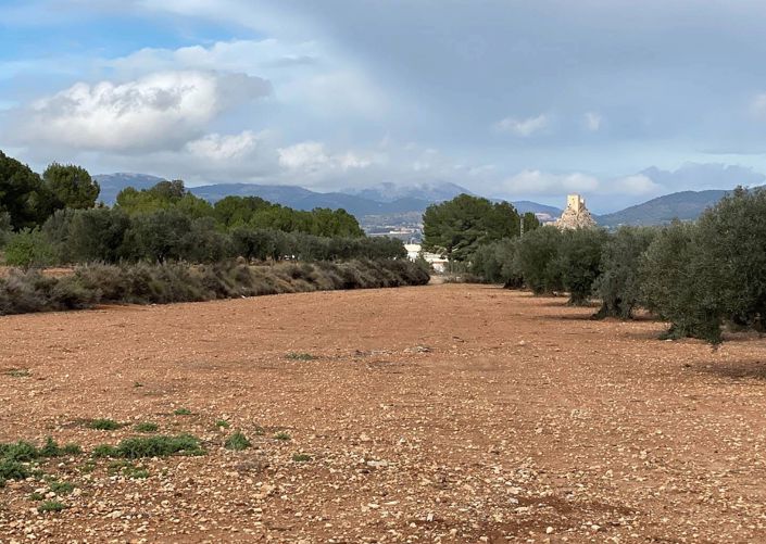 Image No.8-2 Bed Finca for sale