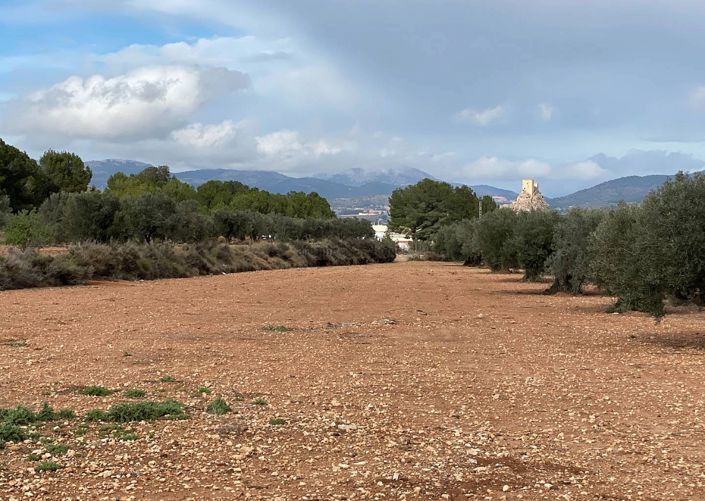 Image No.8-Finca de 2 chambres à vendre à Sax