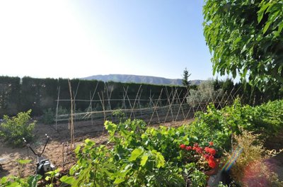 gotvtw3y0y8spqs3zb3ib