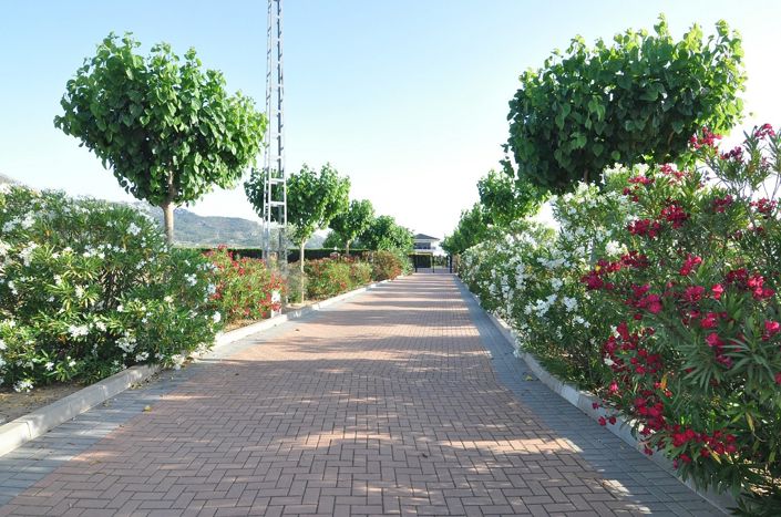Image No.4-Villa de 4 chambres à vendre à Villena