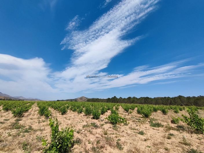 Image No.14-5 Bed Country House for sale