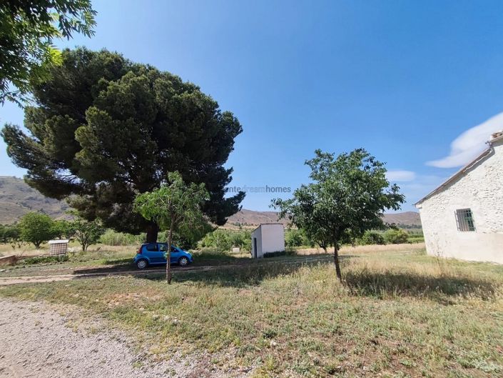 Image No.5-5 Bed Country House for sale